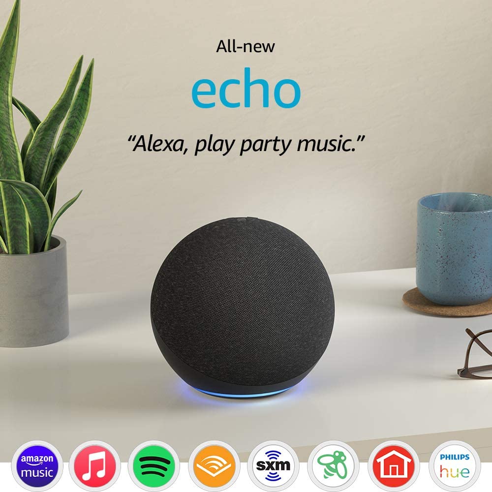 Echo Portable Speaker gift idea