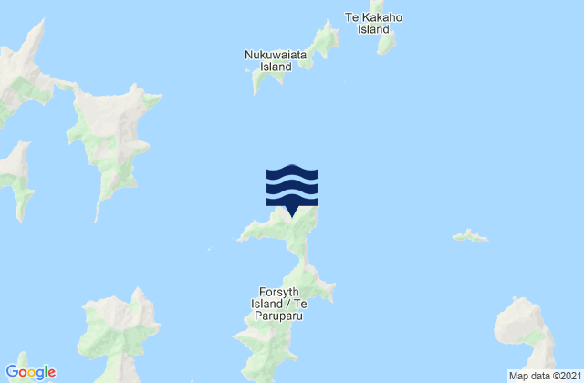Forsyth Island (Te Paruparu), New Zealand tide times map