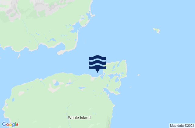 Fox Bay Whale Island, United States tide chart map