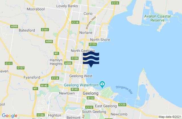 Rippleside Pier, Australia tide times map