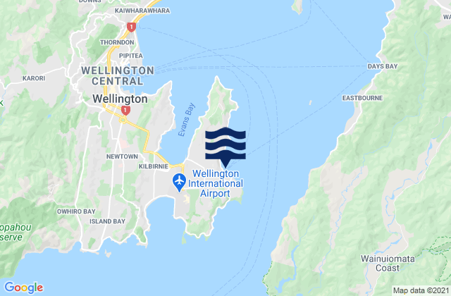 Steeple Rock, New Zealand tide times map
