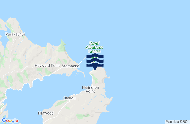 Taiaroa Head, New Zealand tide times map