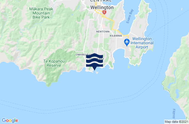 Taputeranga Island, New Zealand tide times map
