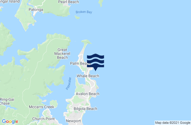 Whale Beach, Australia tide times map