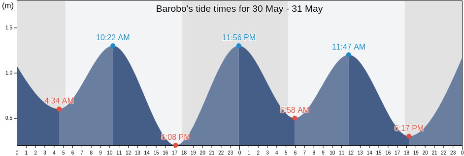 Barobo, Province of Surigao del Sur, Caraga, Philippines tide chart