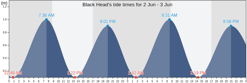 Black Head, New Zealand tide chart
