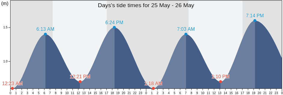 Days, New Zealand tide chart