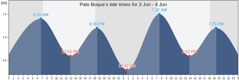 Palo Buque, Provincia de Iquique, Tarapaca, Chile tide chart