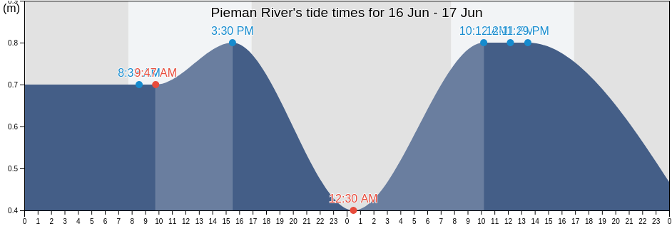 Pieman River, Waratah/Wynyard, Tasmania, Australia tide chart