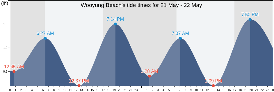 Wooyung Beach, Tweed, New South Wales, Australia tide chart