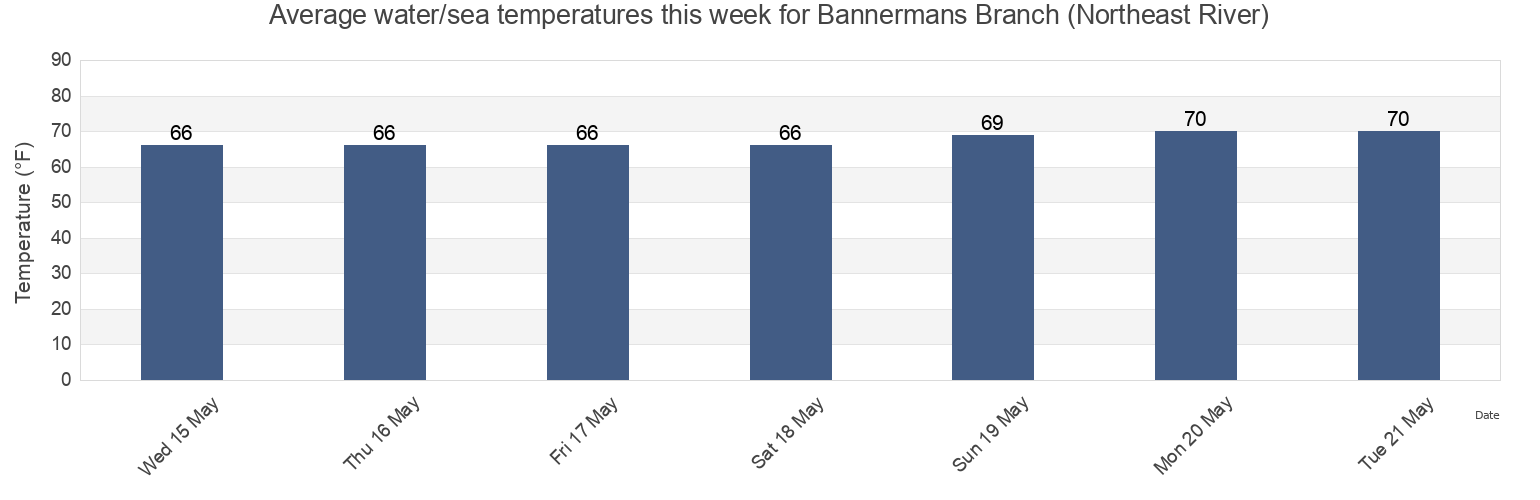 Water temperature in Bannermans Branch (Northeast River), Pender County, North Carolina, United States today and this week