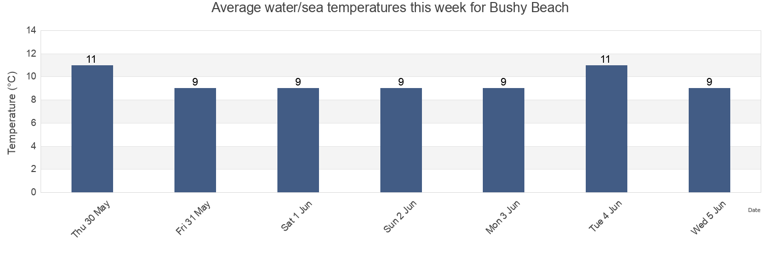 Water temperature in Bushy Beach, Otago, New Zealand today and this week