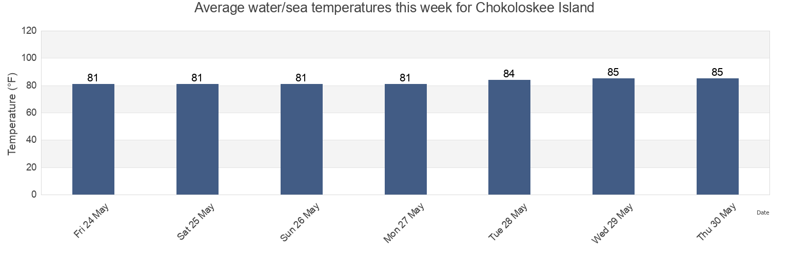 Water temperature in Chokoloskee Island, Collier County, Florida, United States today and this week