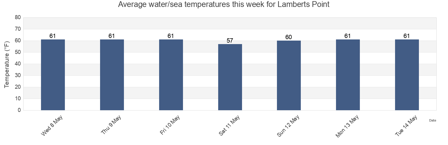 Water temperature in Lamberts Point, City of Norfolk, Virginia, United States today and this week