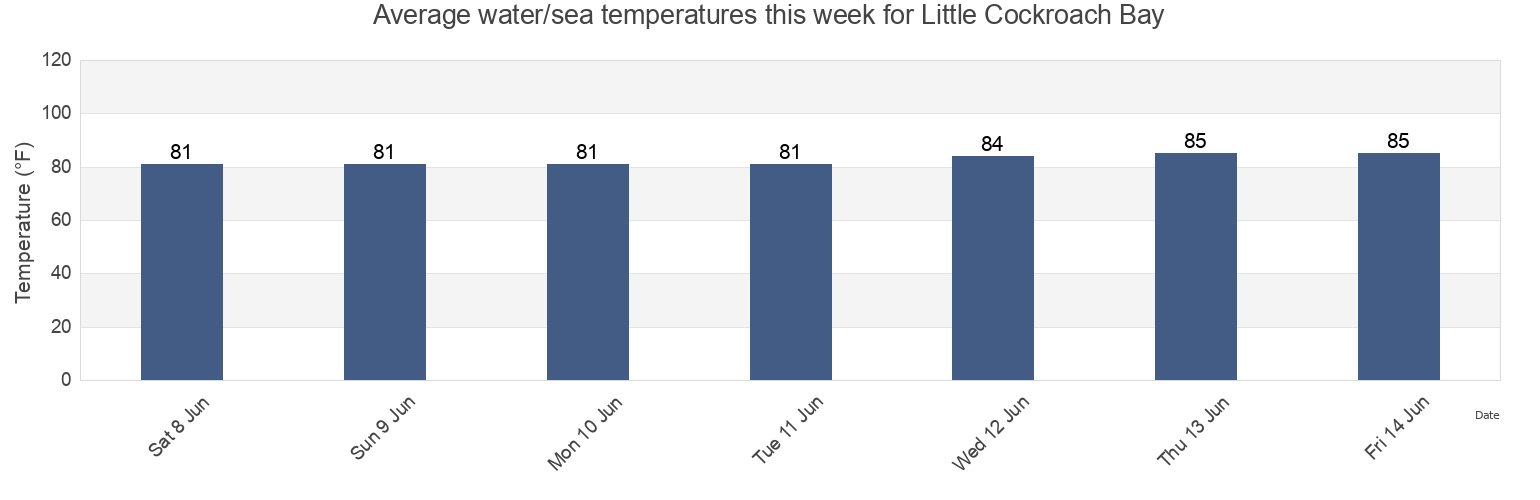 Water temperature in Little Cockroach Bay, Hillsborough County, Florida, United States today and this week