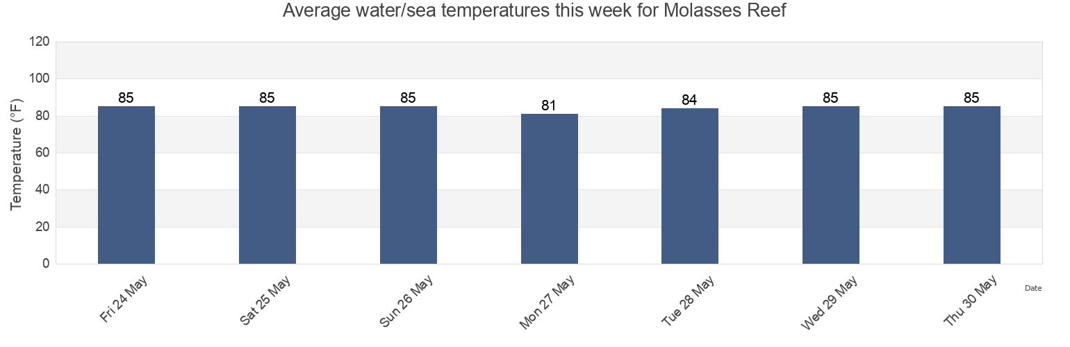 Water temperature in Molasses Reef, Miami-Dade County, Florida, United States today and this week