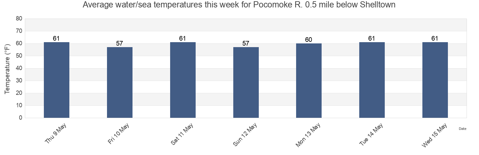 Water temperature in Pocomoke R. 0.5 mile below Shelltown, Somerset County, Maryland, United States today and this week