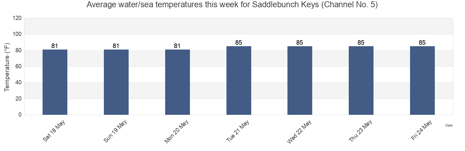 Water temperature in Saddlebunch Keys (Channel No. 5), Monroe County, Florida, United States today and this week