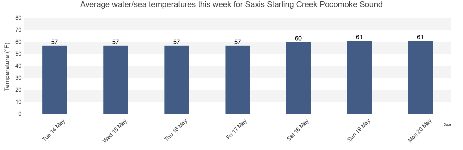 Water temperature in Saxis Starling Creek Pocomoke Sound, Somerset County, Maryland, United States today and this week